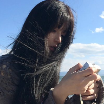 当哈维遇见鲍勃封面
