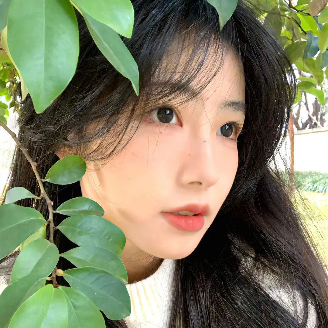 铁拳：血脉封面